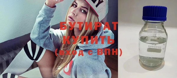 дмт Бородино