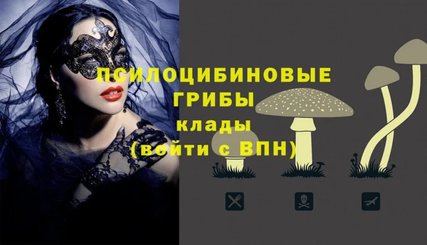 гидра Рославль