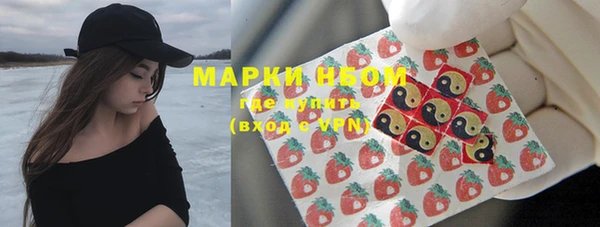 дмт Бородино