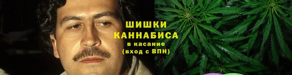 дмт Бородино