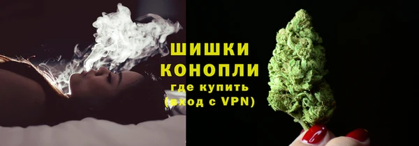 гидра Рославль