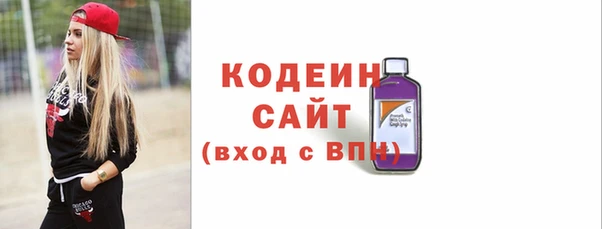 дмт Бородино