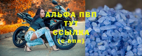 дмт Бородино