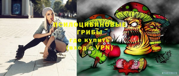 mdpv Бронницы