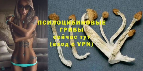 PSILOCYBIN Бугульма