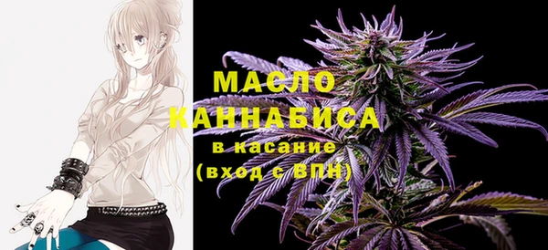 дмт Бородино