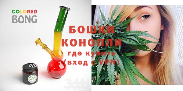 PSILOCYBIN Бугульма