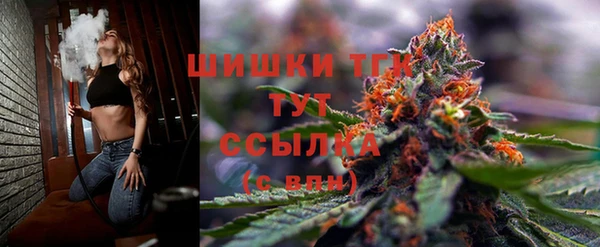 PSILOCYBIN Бугульма