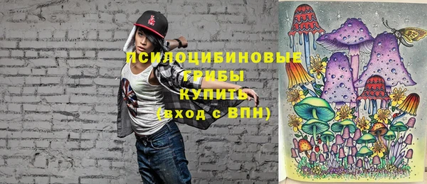 PSILOCYBIN Ростов