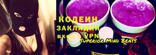 дмт Бородино